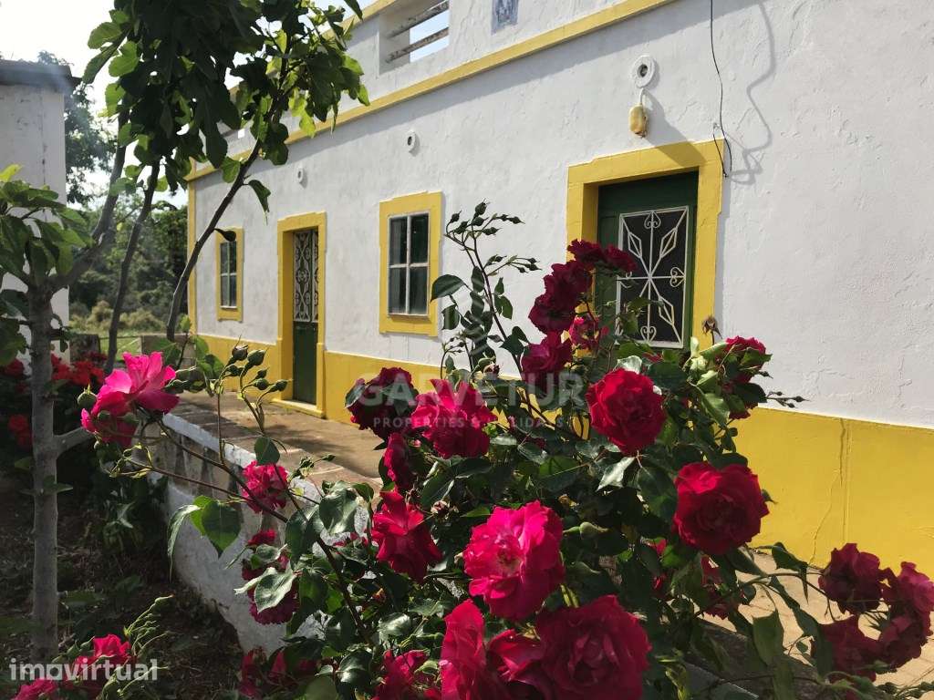 Moradia Tradicional algarvia em Santa Catarina, Algarve - Grande imagem: 4/26