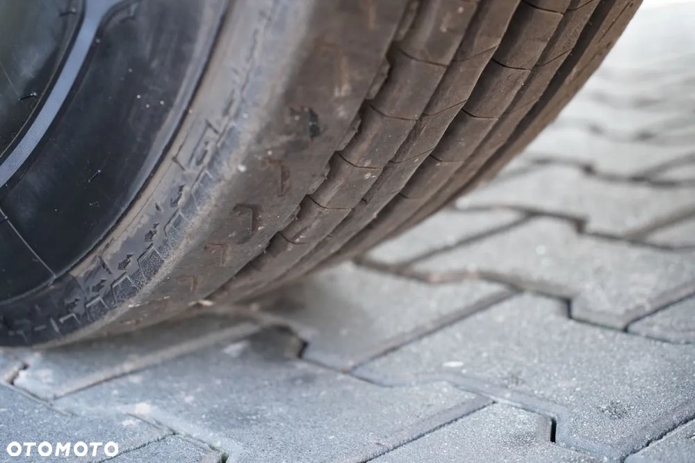 Scania P 450 / RETARDER / HYDRAULIKA / NISKA KABINA - 18