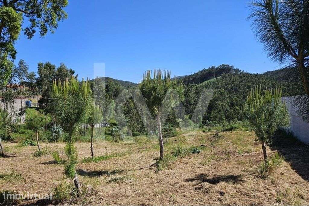 Terreno | Viabilidade de construção | 2.318 m2 | Boa exposição solar - Grande imagem: 5/13