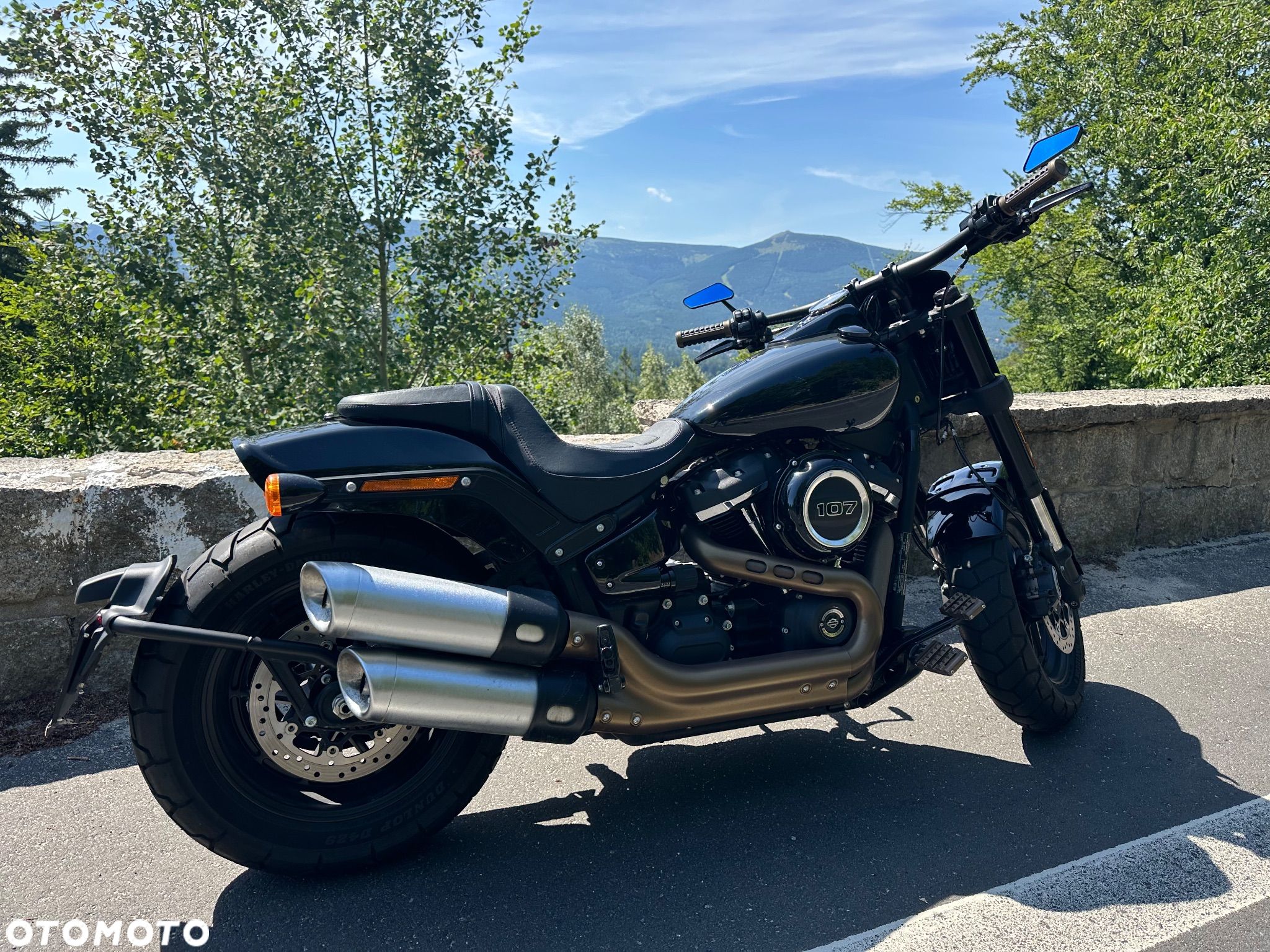 Harley-Davidson Softail Fat Bob - 1
