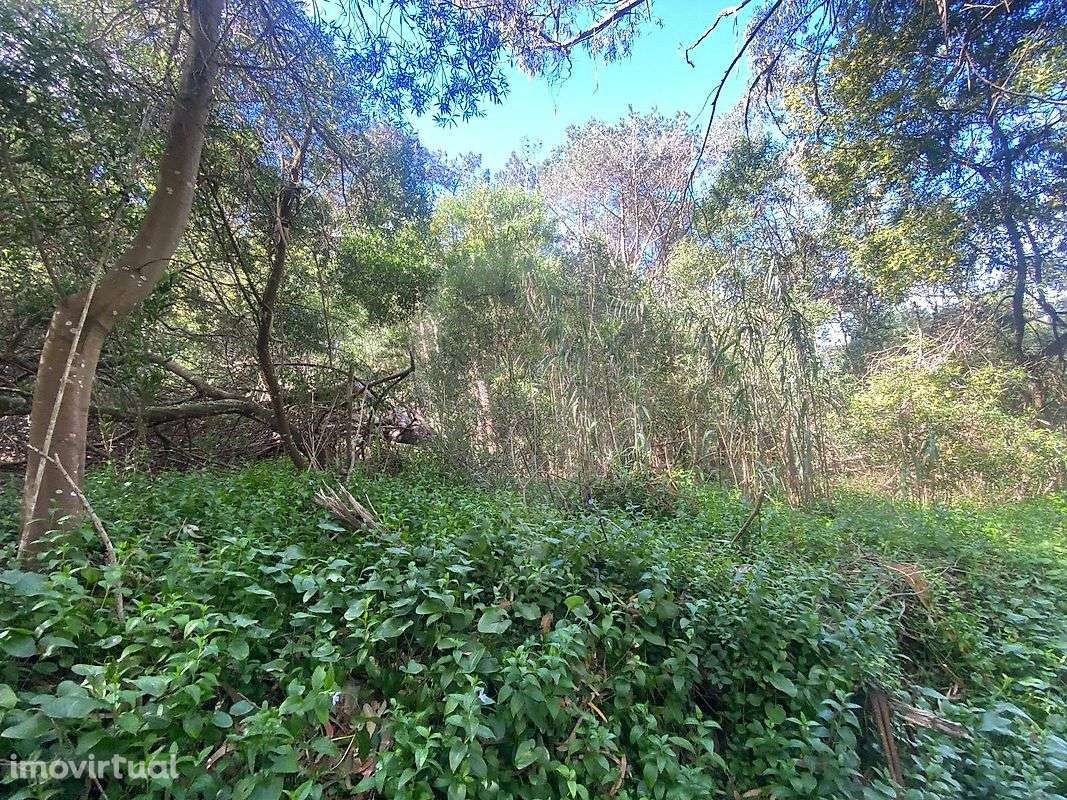 Terreno  para venda - Grande imagem: 5/17