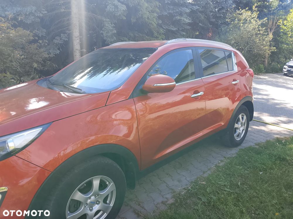 Kia Sportage - 14