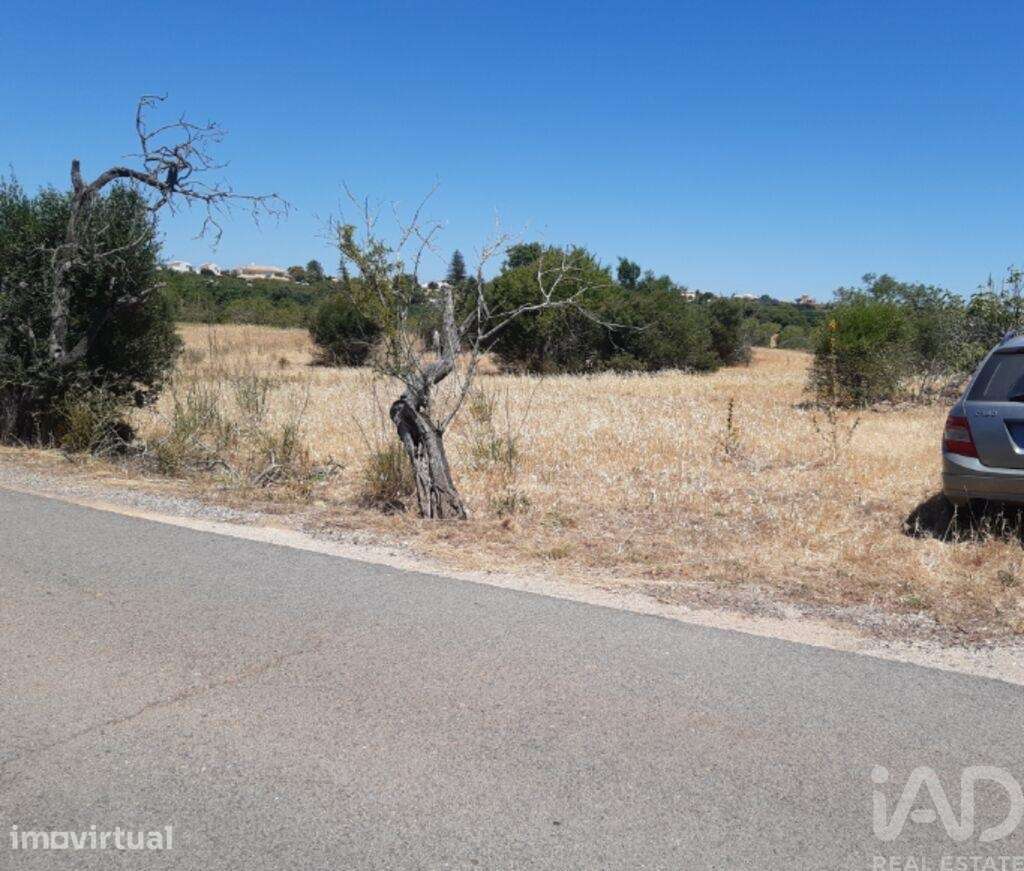 Moradia térrea em Guia - Grande imagem: 5/12