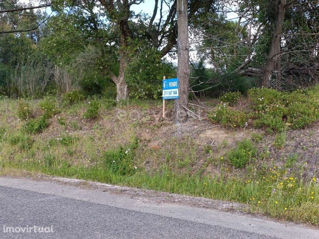 Terreno Rústico com Potencial Agrícola - Tranquilidade e Envolvênci... - Grande imagem: 4/14