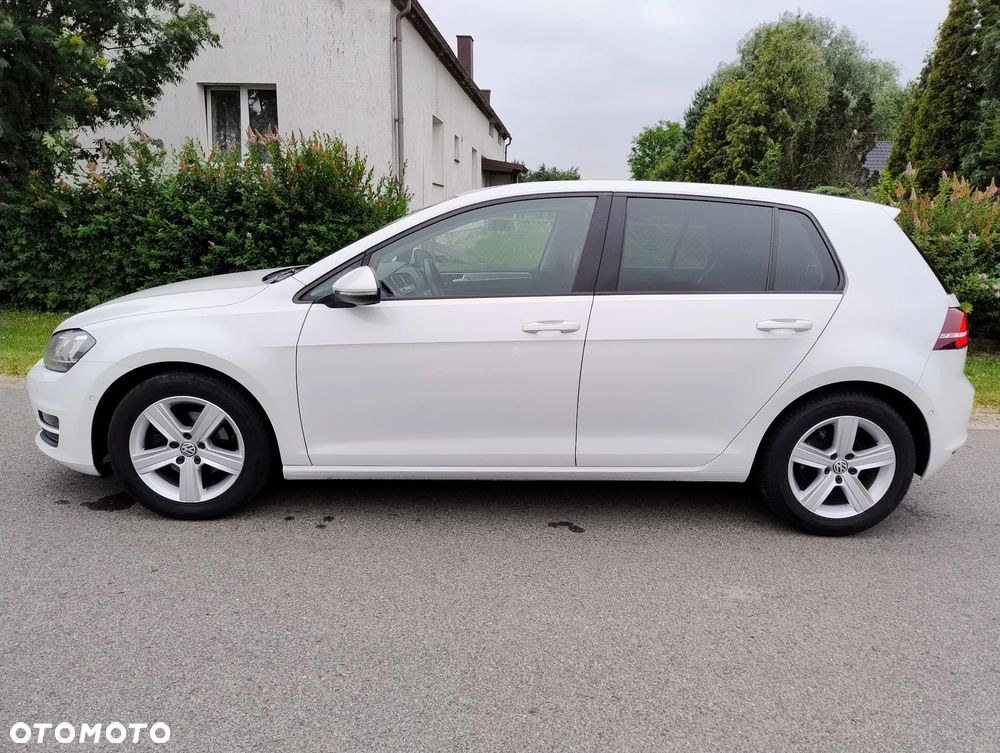 Volkswagen Golf - 36