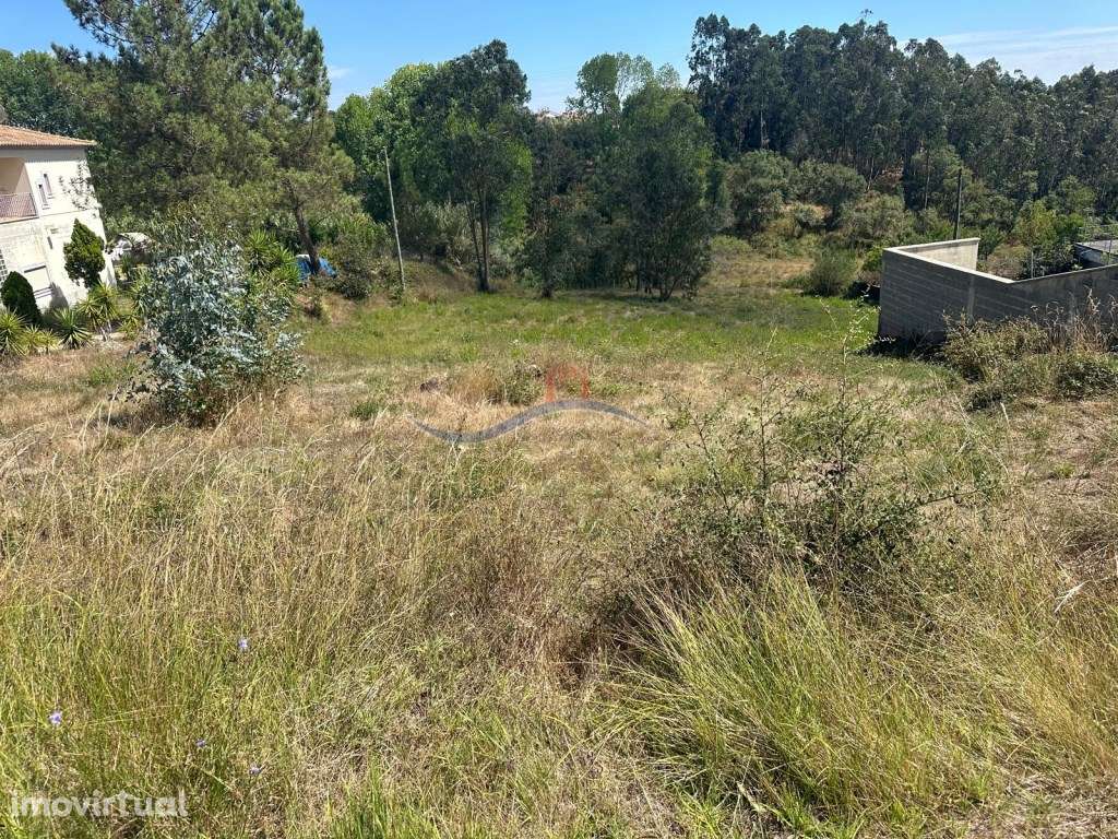 Terreno - Souto da Carpalhosa - Grande imagem: 3/9