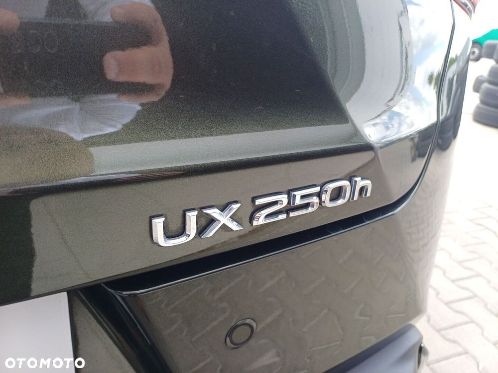 Lexus UX 250h GPF F Sport Design 2WD - 10