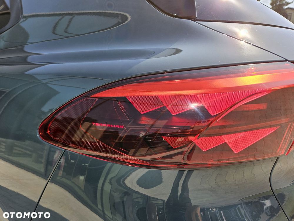 Cupra Terramar - 14