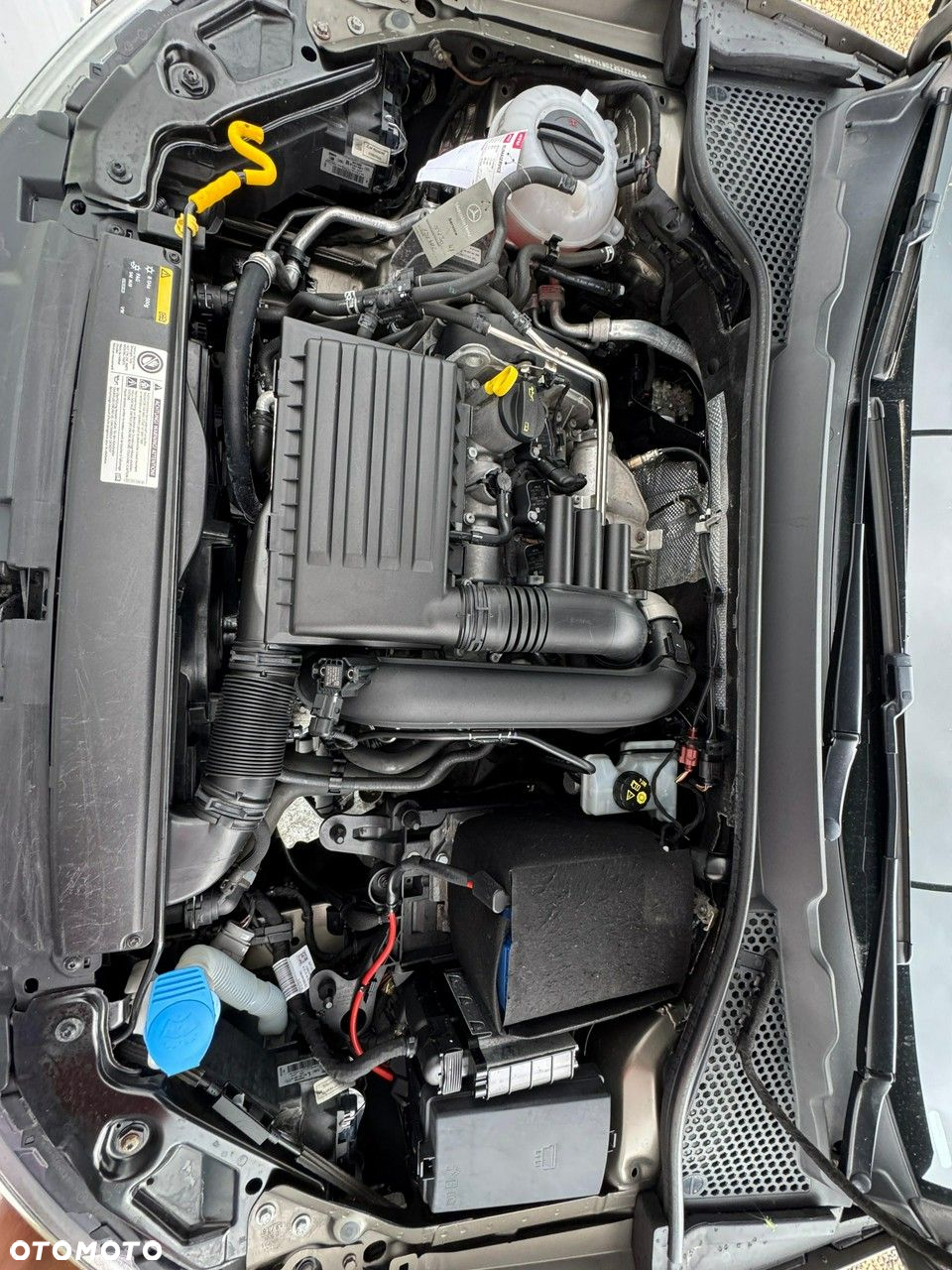 Seat Leon - 15