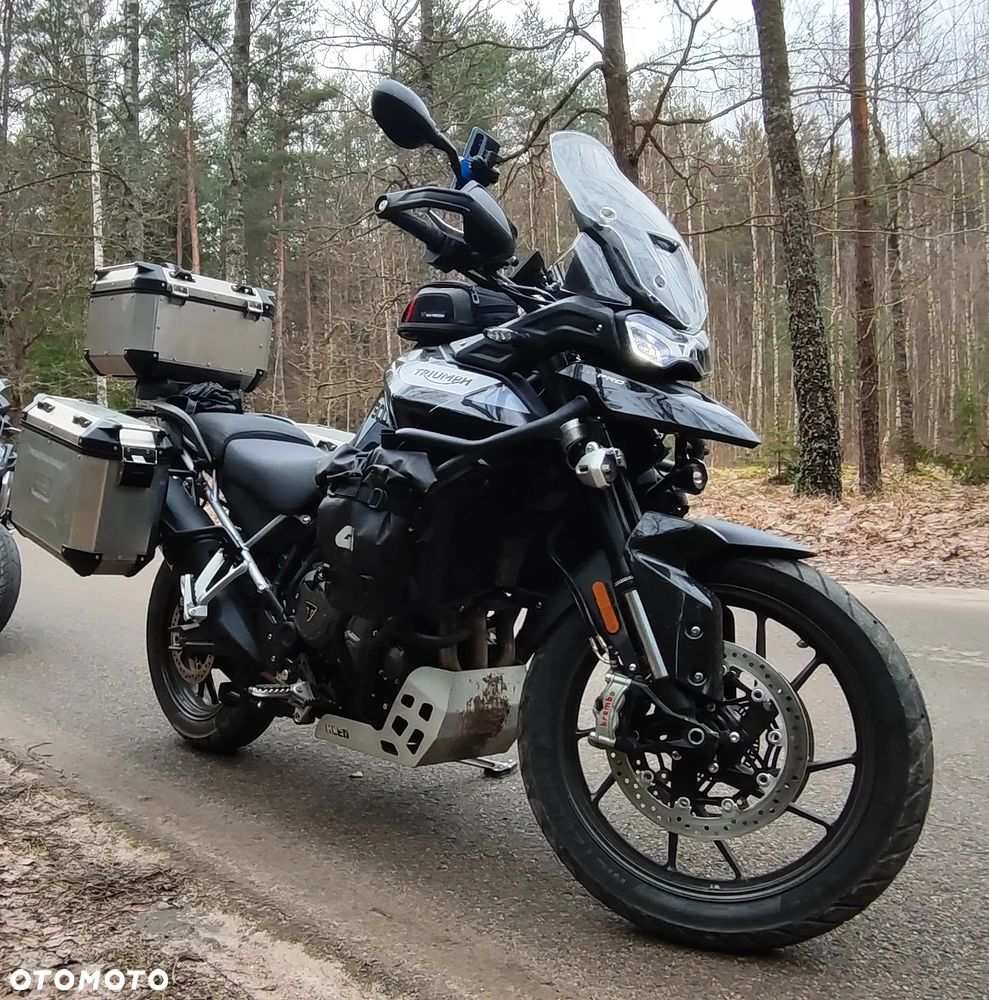 Triumph Tiger - 11