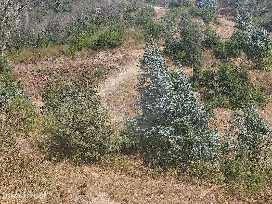 Terreno  para venda - Grande imagem: 4/4
