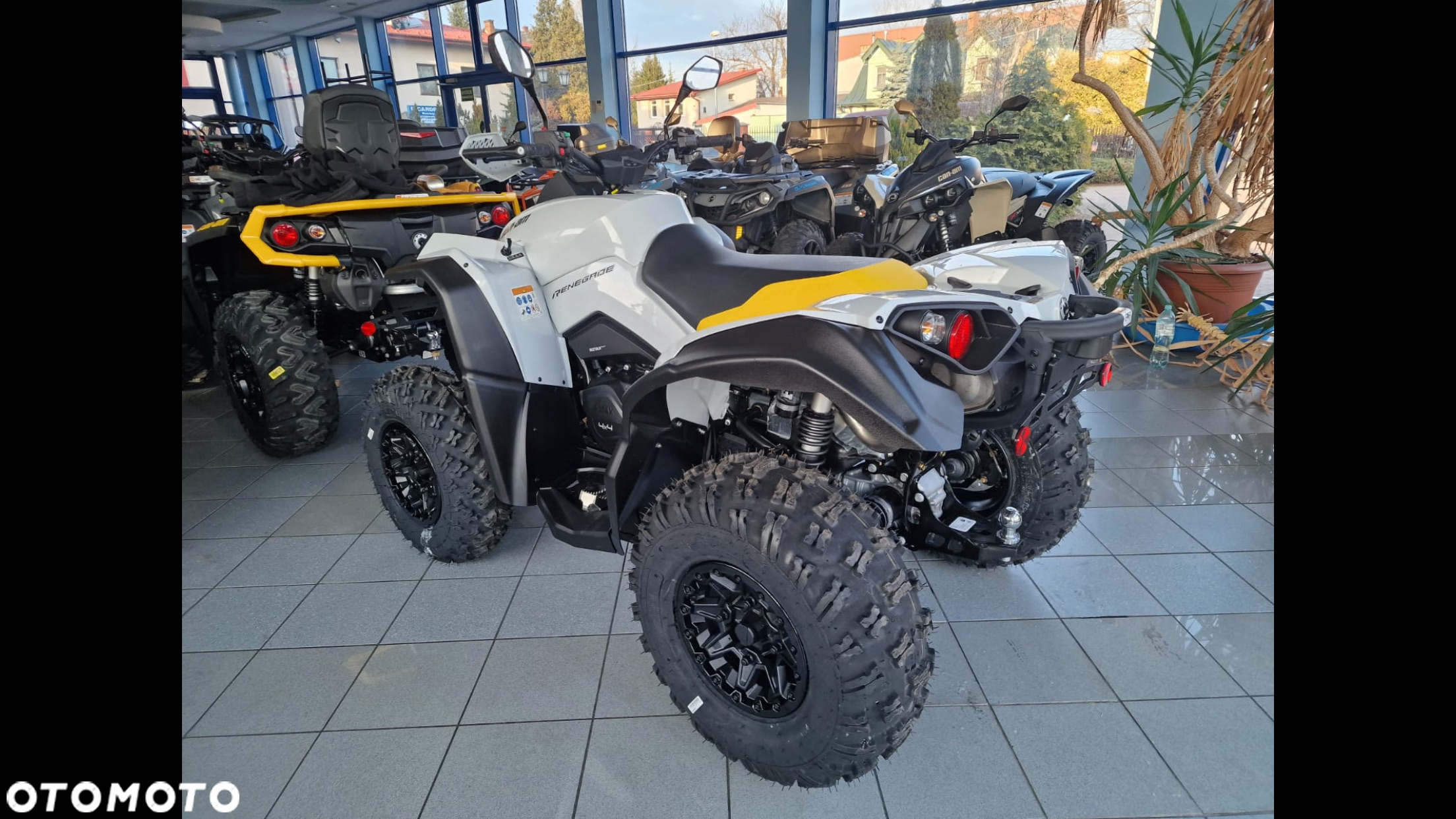 Can-Am Renegade - 2