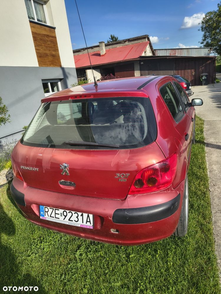 Peugeot 307 - 6