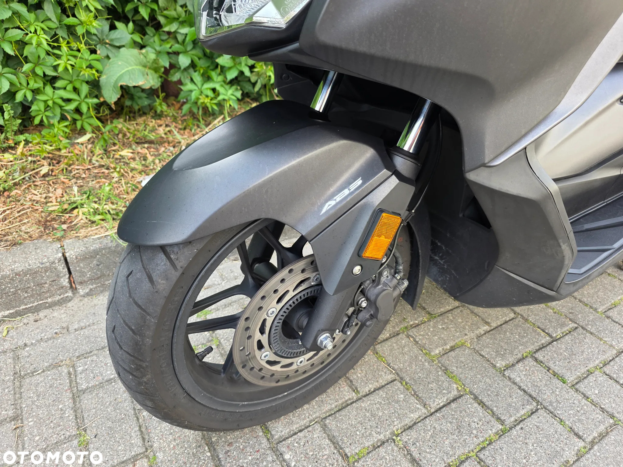Honda Inny - 13
