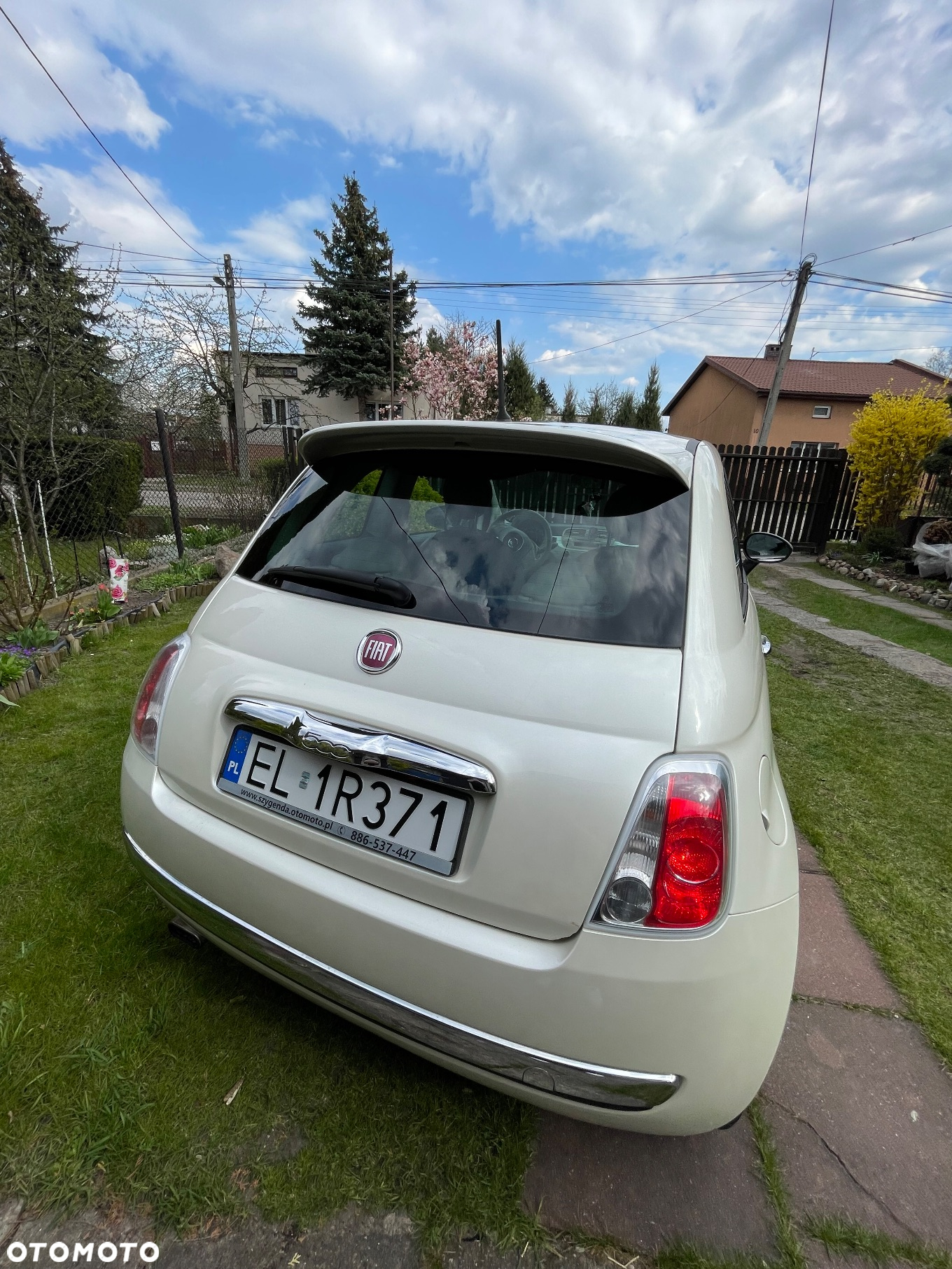 Fiat 500 1.2 8V Pop - 2