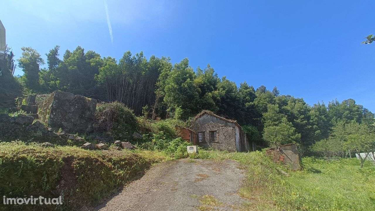 PRÉDIO MISTO ( Urbano e Rústico ) - Oliveira de Azeméis - Grande imagem: 3/8