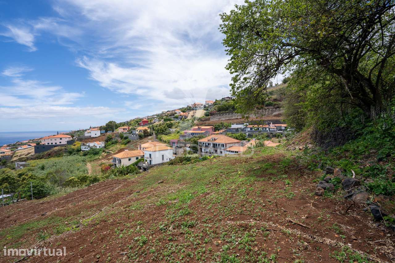 Terreno Rustico 3.550m2 Gaula - Grande imagem: 4/16