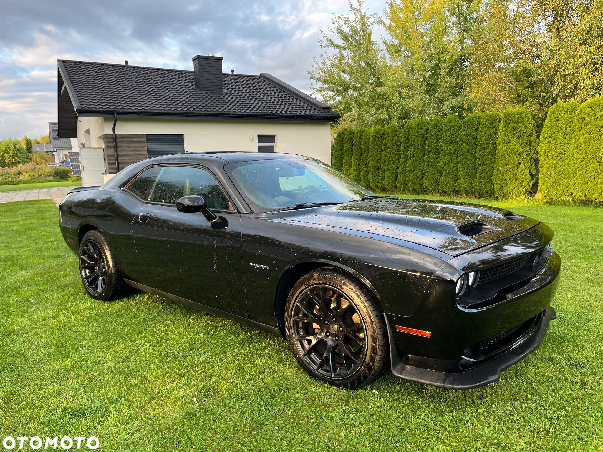 Dodge Challenger - 12