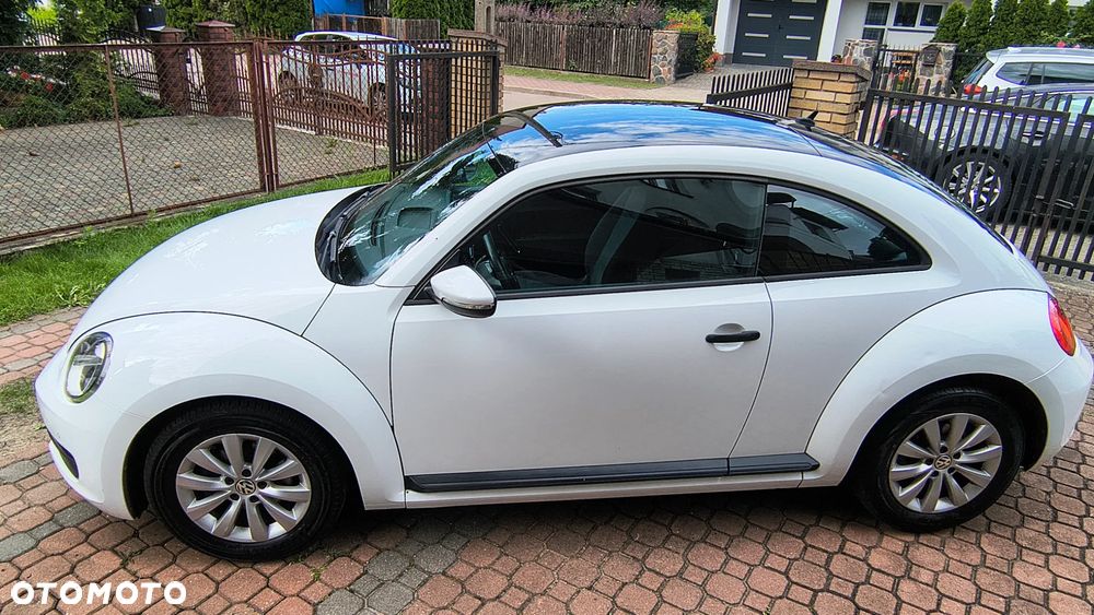 Volkswagen Beetle - 13
