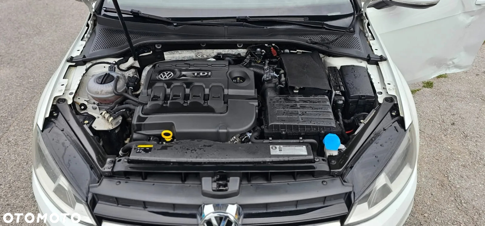 Volkswagen Golf Variant 1.6 TDI BlueMotion Technology DSG Allstar - 26