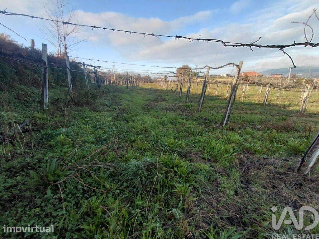 Terreno em Messegães, Valadares e Sá - Grande imagem: 2/6