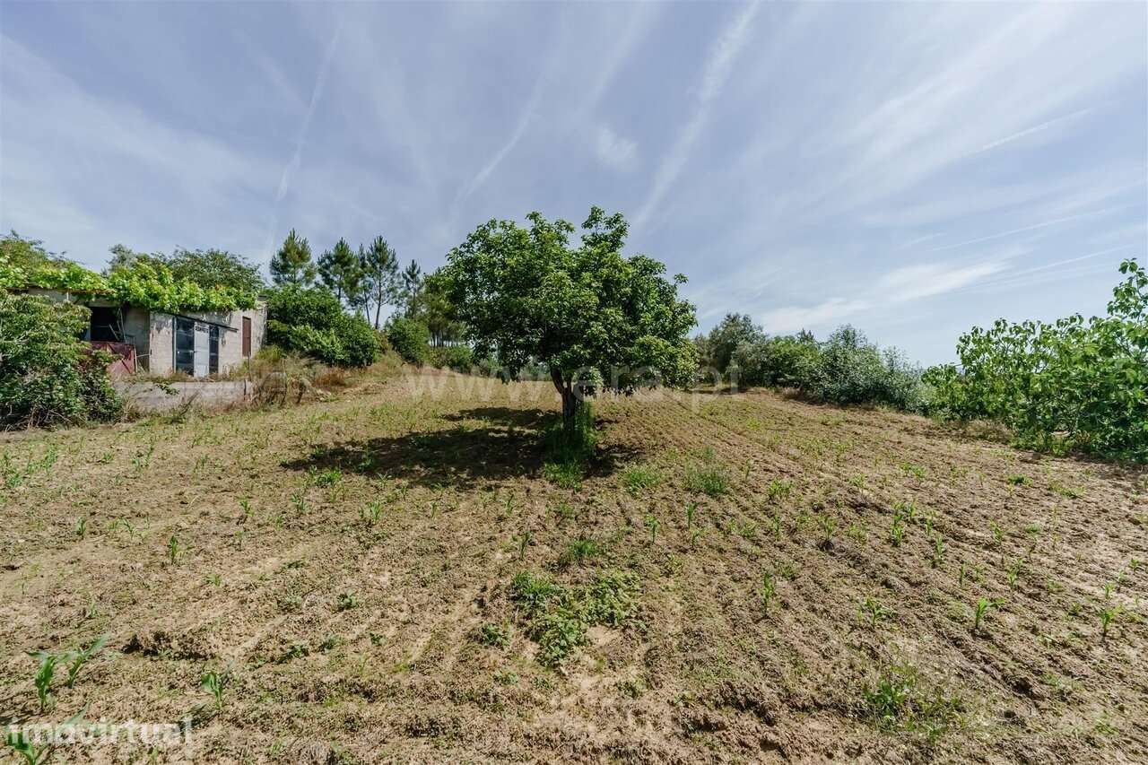 Quinta T1 / Fundão, Salgueiro - Grande imagem: 2/20