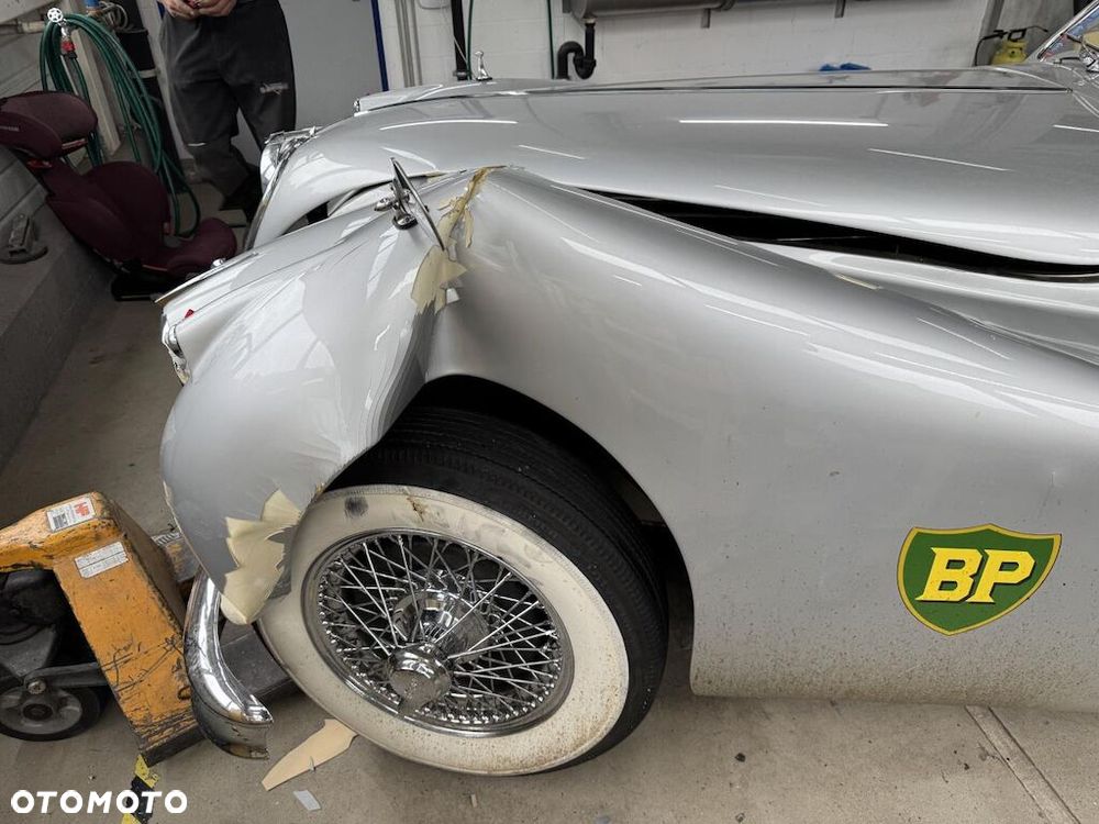 Jaguar Inny - 5