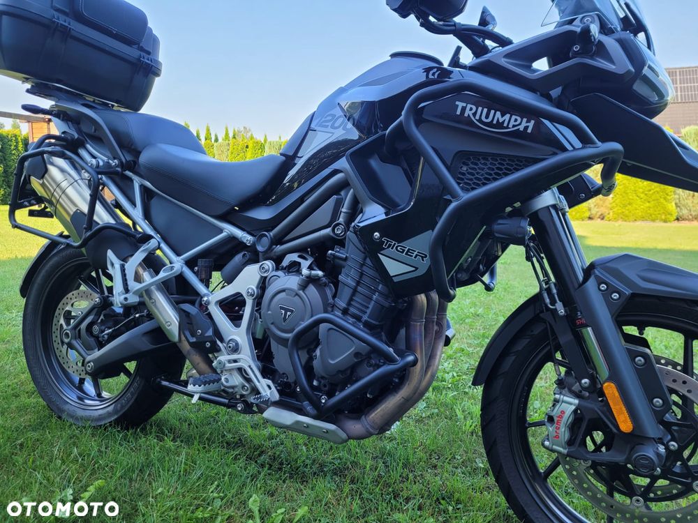 Triumph Tiger - 4