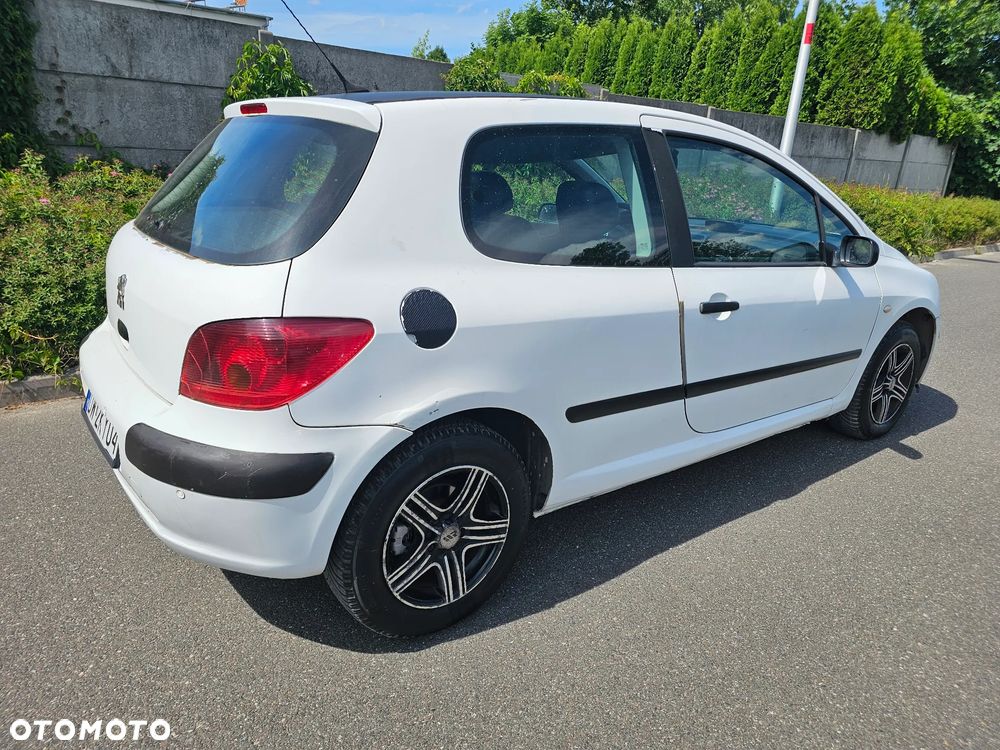 Peugeot 307 HDi 90 Grand Filou - 3