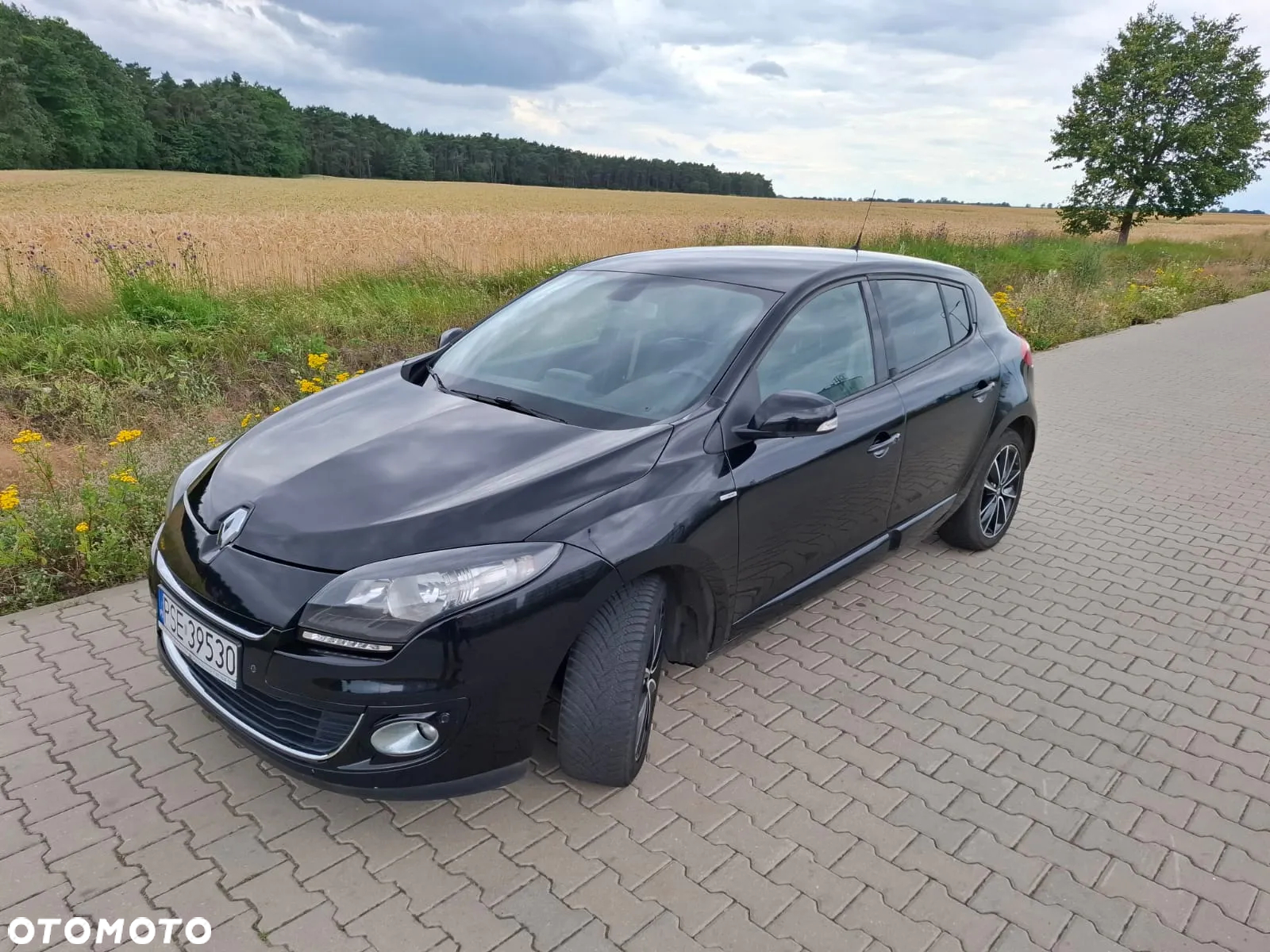 Renault Megane 1.5 dCi Bose - 2