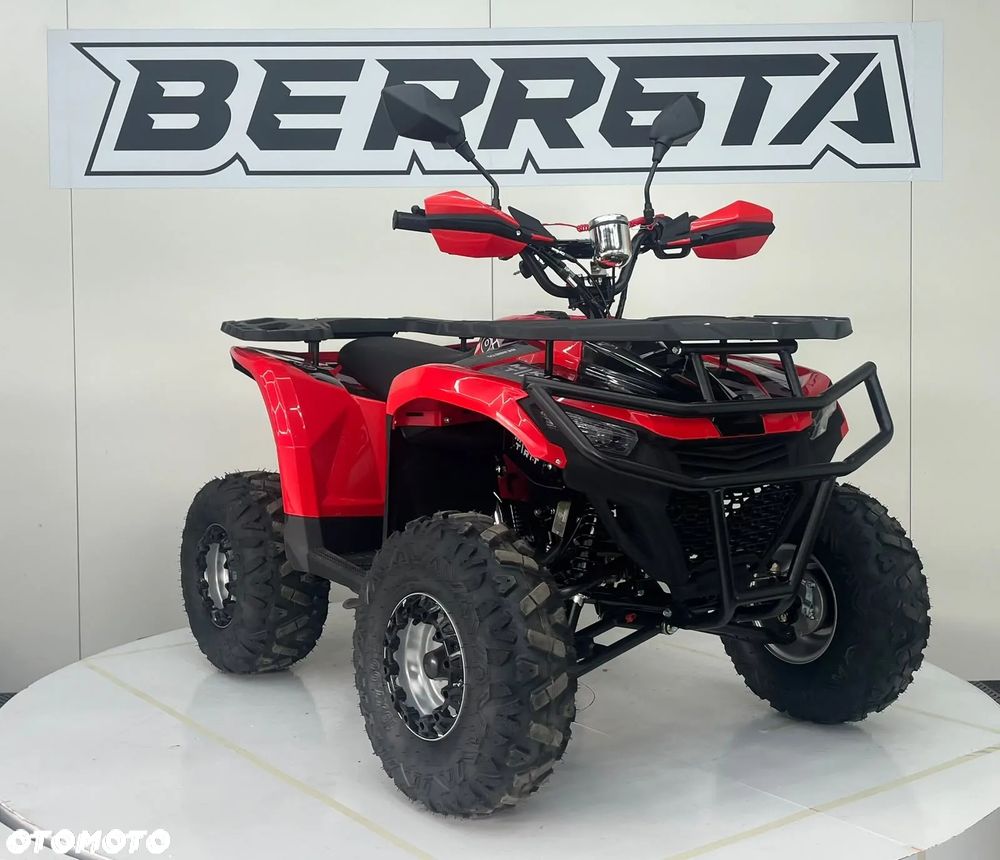 Berreta Inny - 8