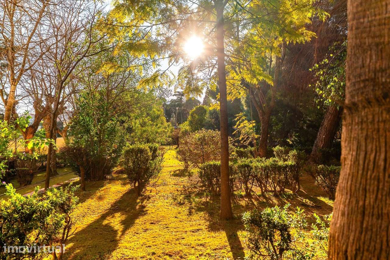 Moradia familiar com jardim na Penha de França, Lisboa - Grande imagem: 4/26