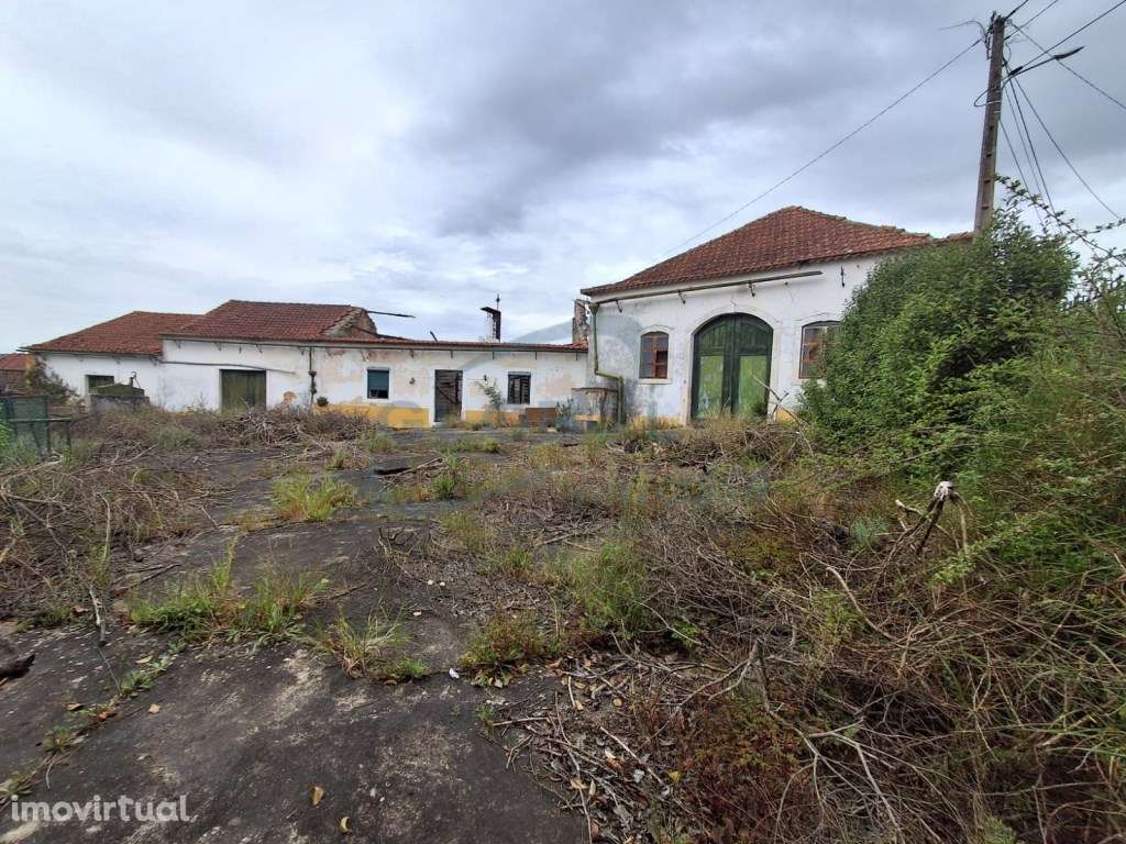 Projeto Imobiliário no Centro de Alcanena | 3.640 m² com Elevado Po... - Grande imagem: 4/22