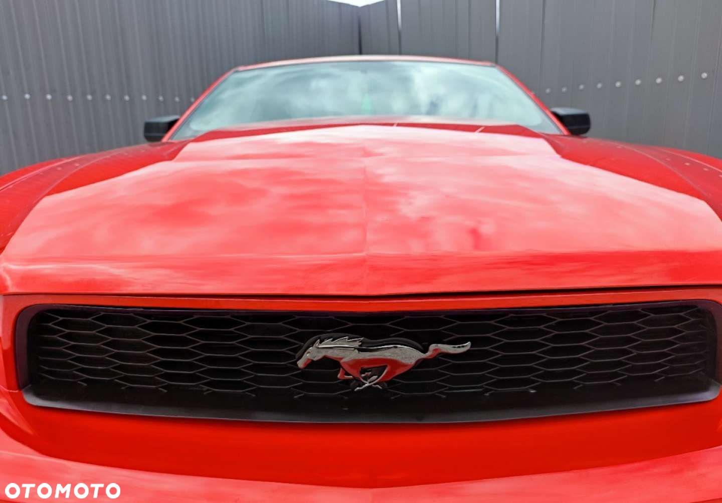 Ford Mustang - 11