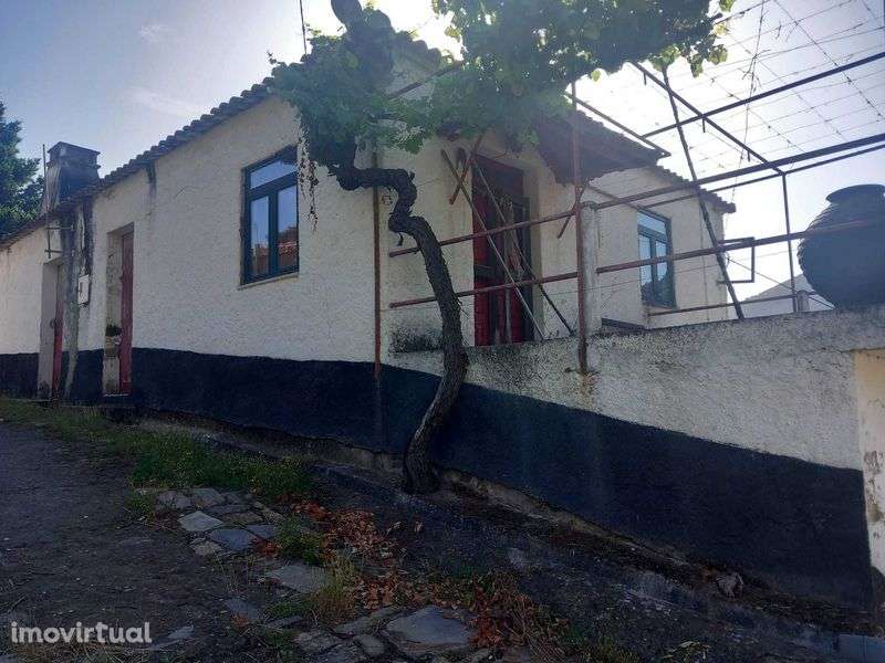 Vende-se Quinta no Douro - Grande imagem: 4/5