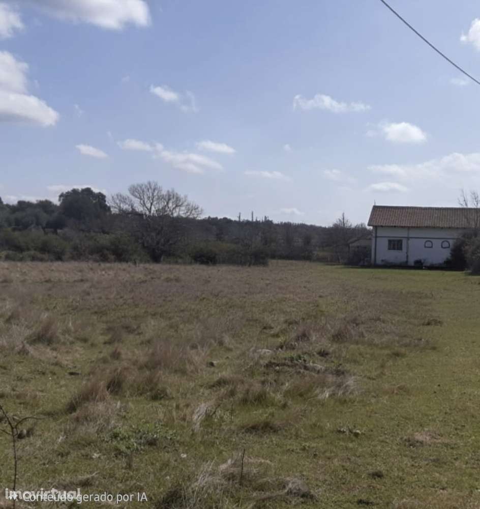 Moradia T3 com garagem e terreno amplo - Grande imagem: 4/9