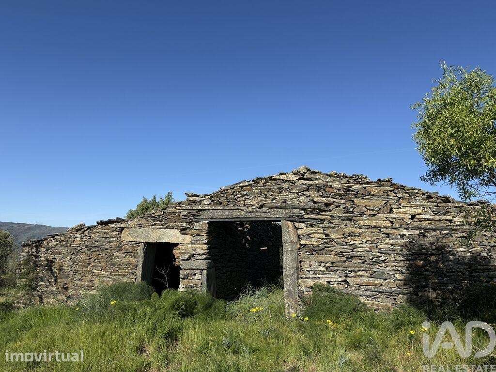Terreno Agrícola em Vila Nova de Foz Côa - Grande imagem: 4/14