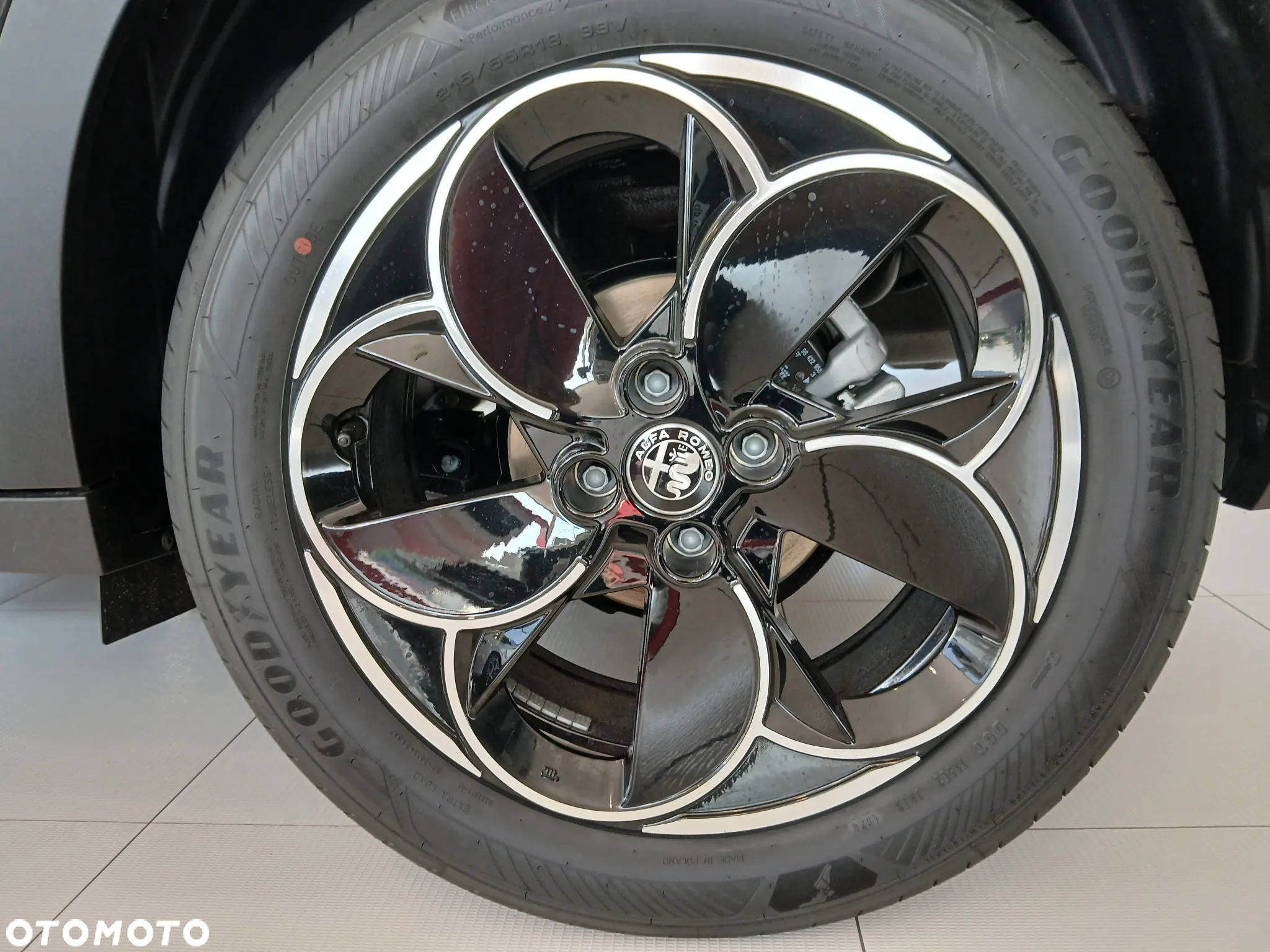 Alfa Romeo Junior - 25