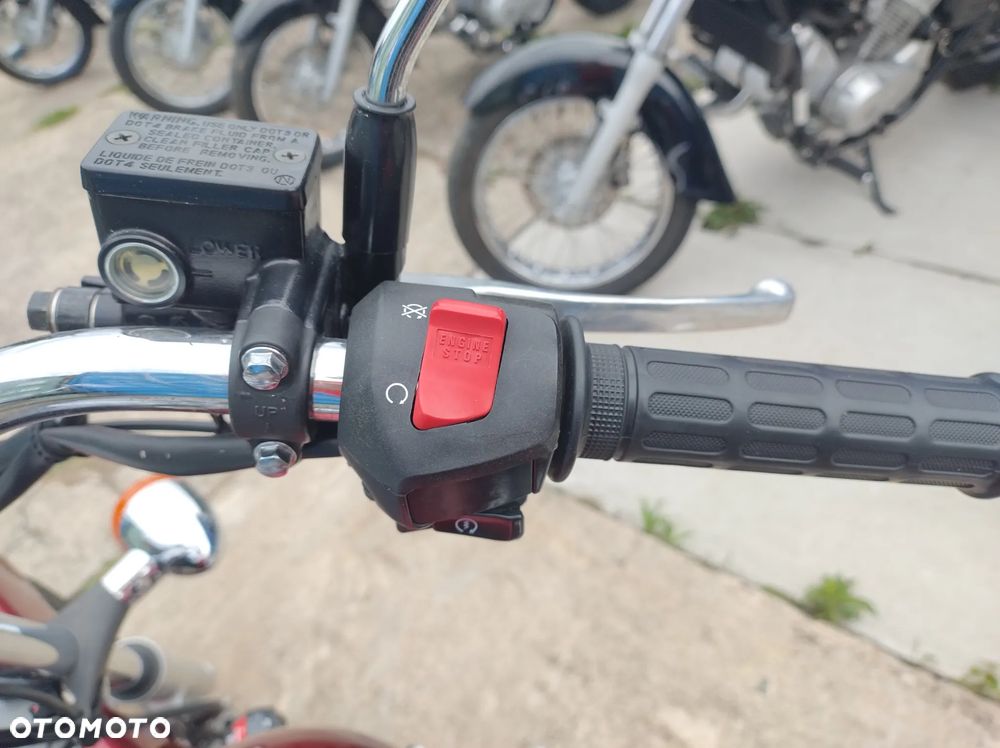 Honda Shadow - 19