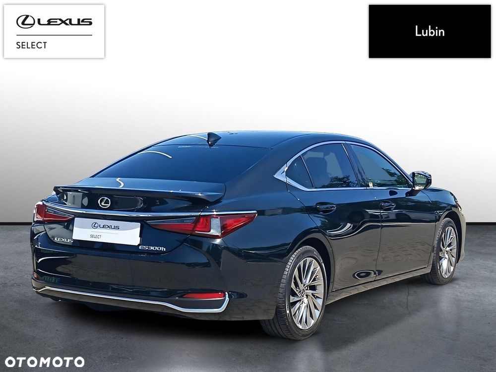 Lexus ES 300h Omotenashi - 6