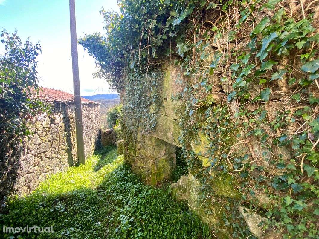 Moradia T4 para venda em Espinho - Alcofra - Vouzela - Grande imagem: 4/9