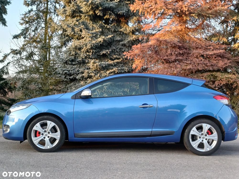 Renault Megane 1.6 16V Color Edition Euro5 - 14