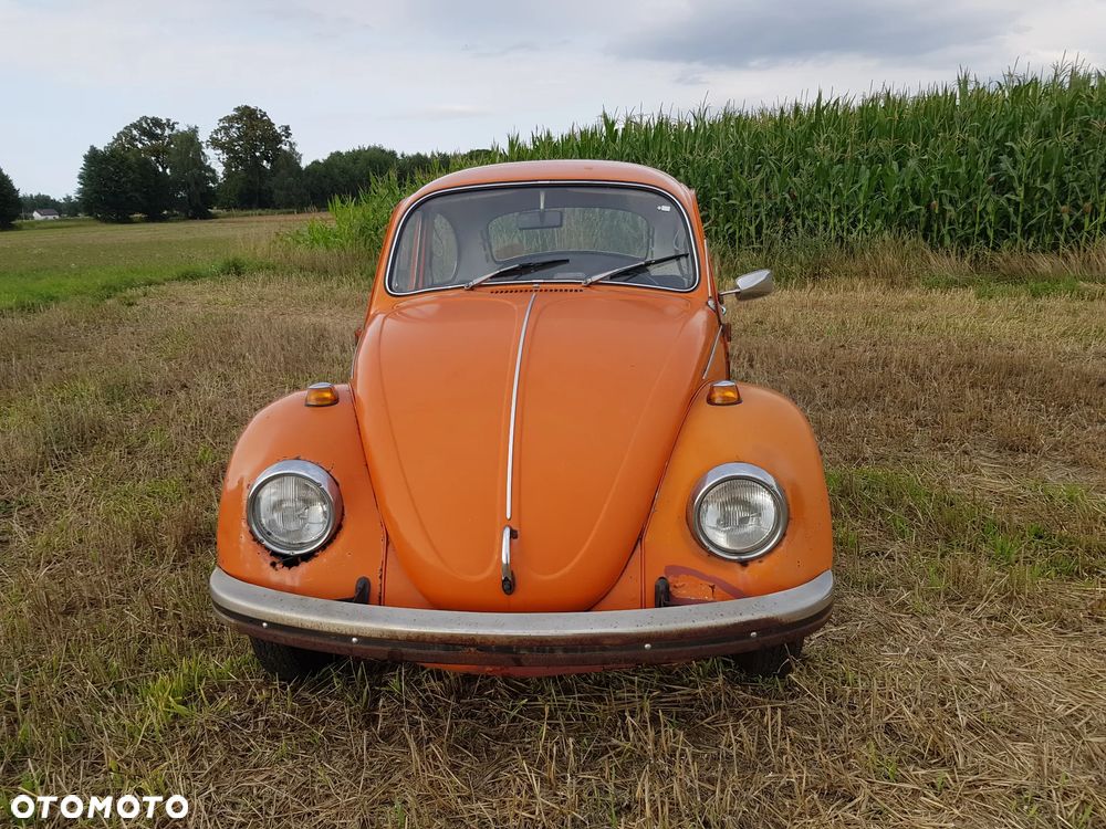 Volkswagen Garbus - 2