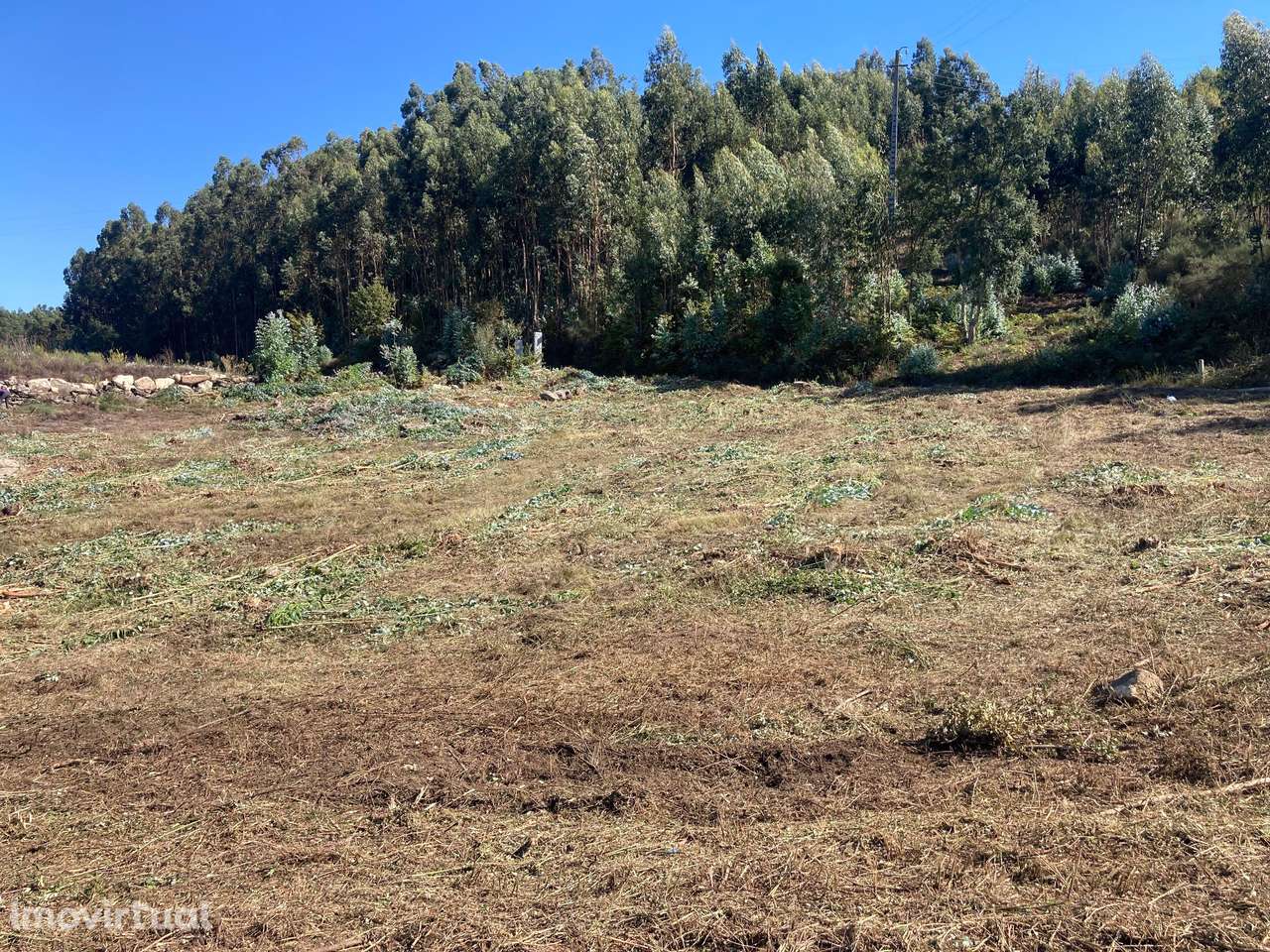 Terreno localizado em Cabeça Santa inserido numa área empresarial/indu - Grande imagem: 3/28