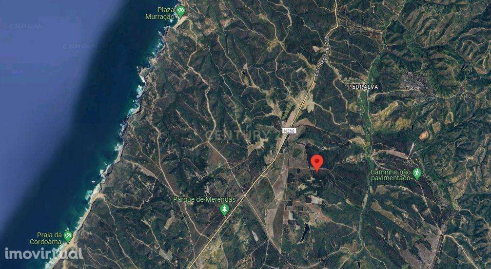 Terreno Rustico com 5000m2 em Vila do Bispo - Grande imagem: 3/7