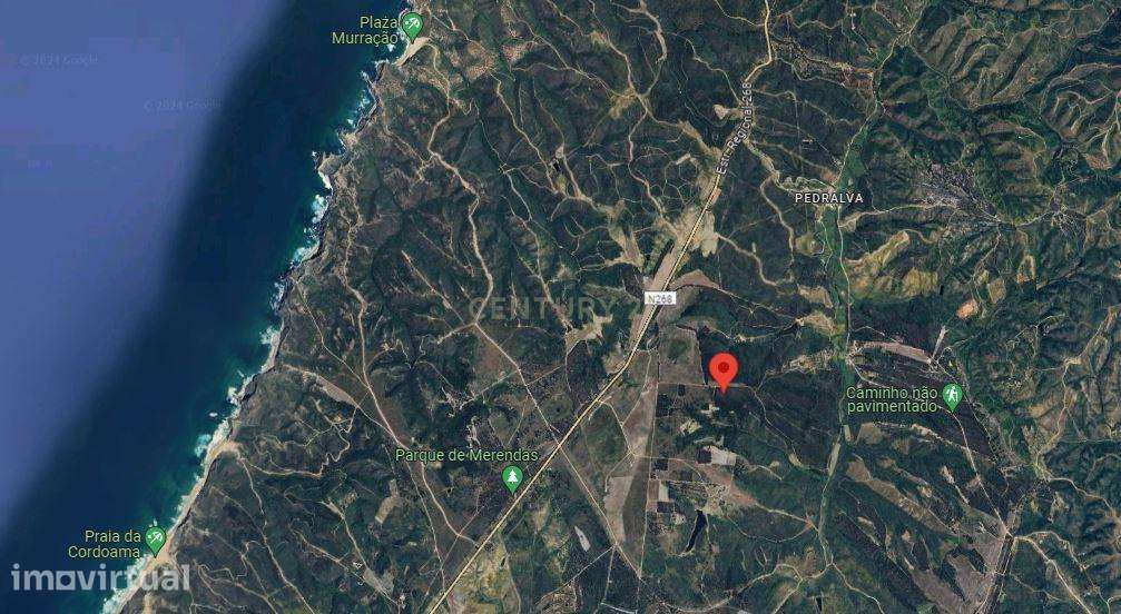 Terreno Rustico com 5000m2 em Vila do Bispo - Grande imagem: 3/7