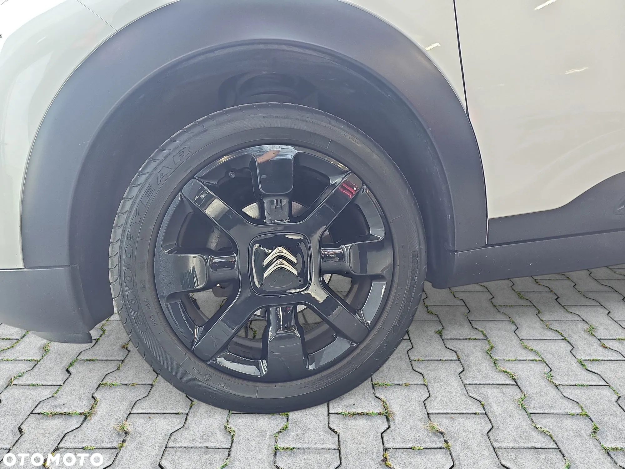 Citroën C4 Cactus 1.2 PureTech Shine S&S EAT6 - 9