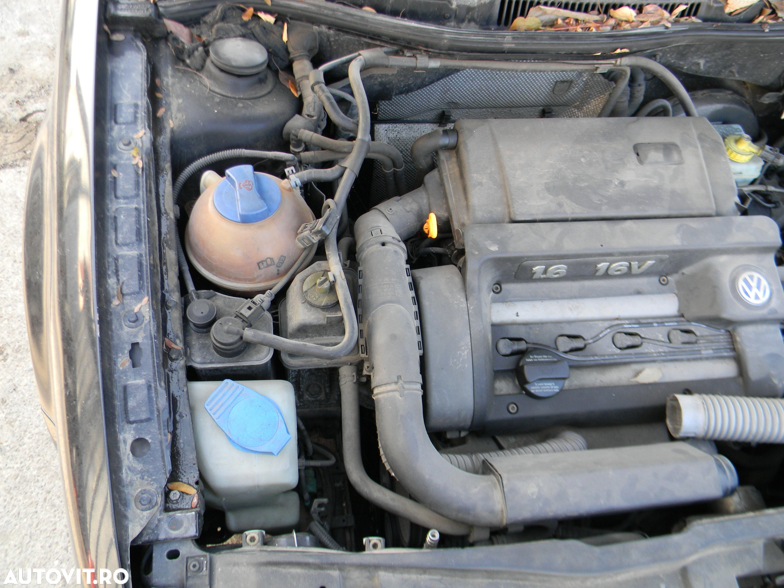 Dezmembrari  VW GOLF 4  1997  > 2006 1.6 16V Benzina - 5