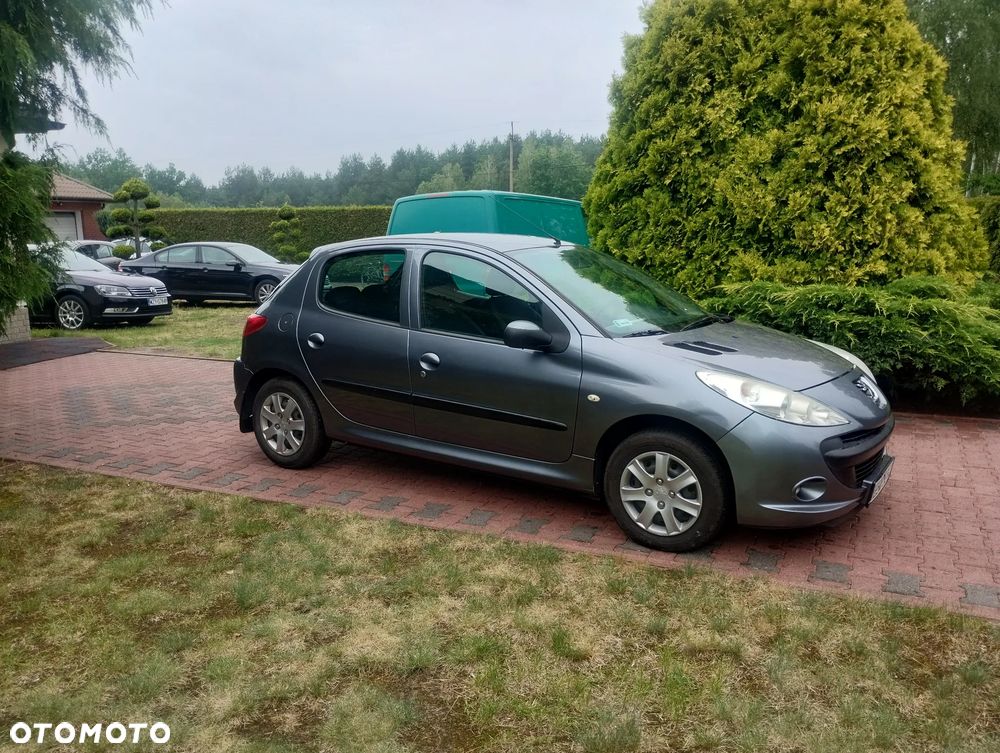 Peugeot 206 plus - 6