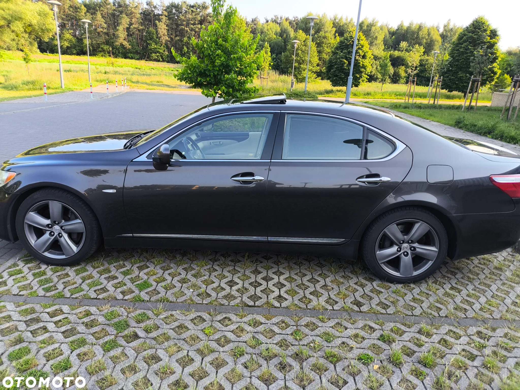 Lexus LS 460 Prestige - 7